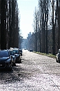 Img 041